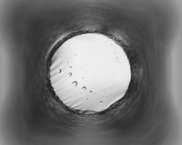 X0000086271256200704262009
