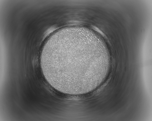 X0000086271259200704262009