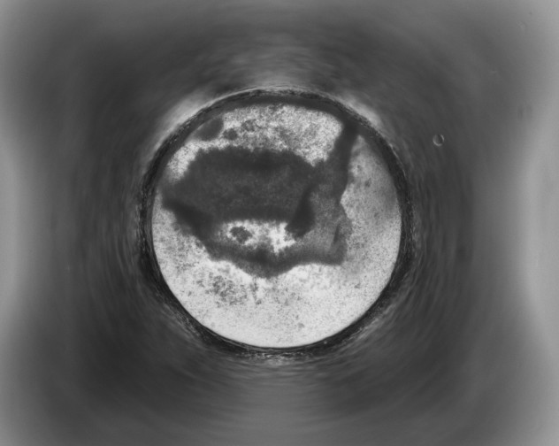 X0000086271263200704262009