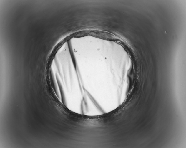X0000086271264200704262009