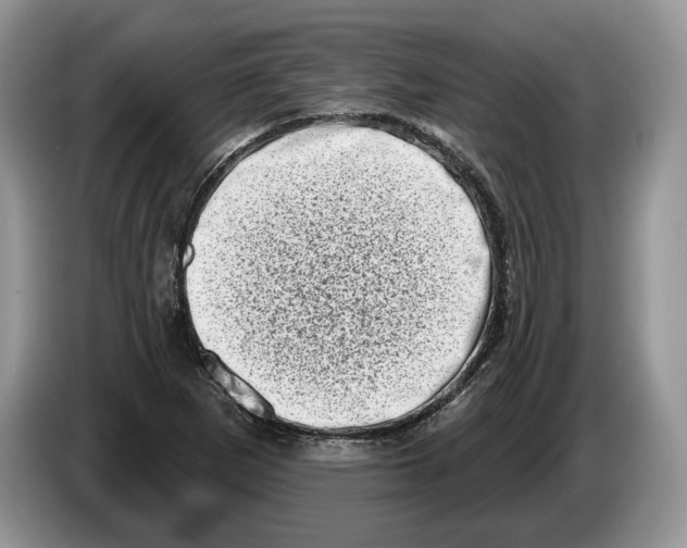 X0000086271265200704262009