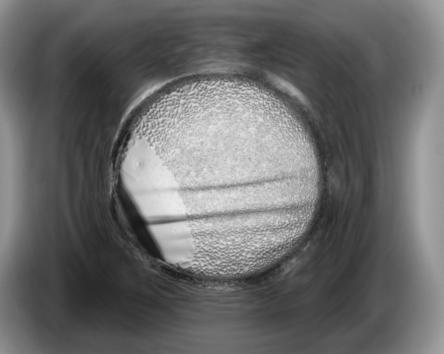 X0000086271267200704262009