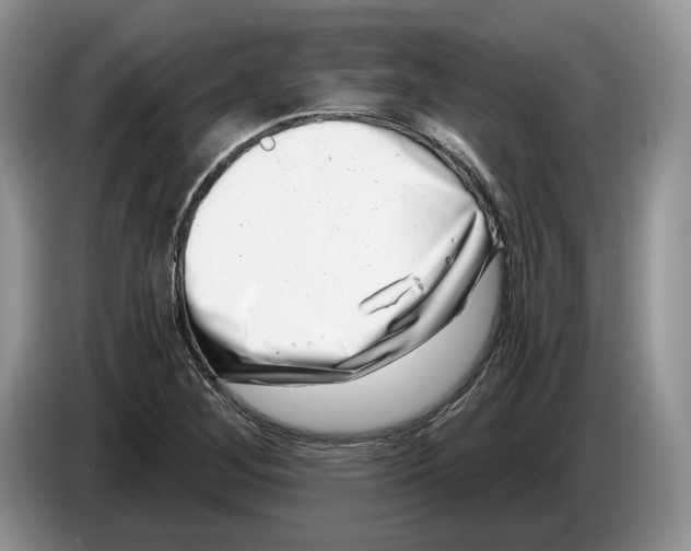 X0000086271268200704262009