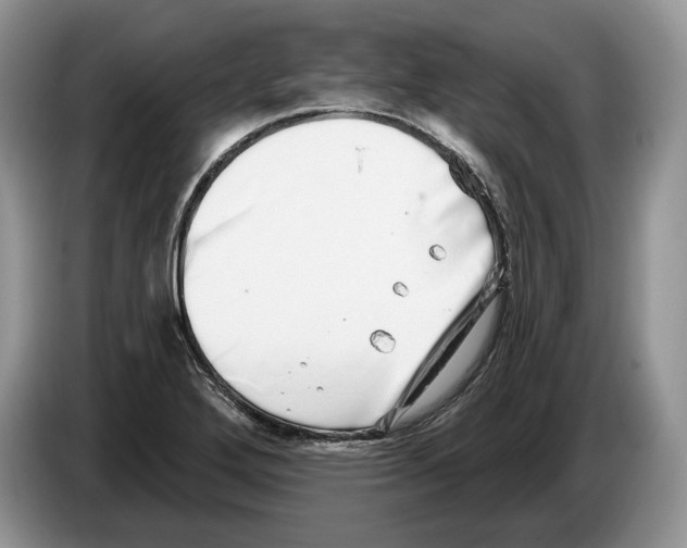 X0000086271272200704262009