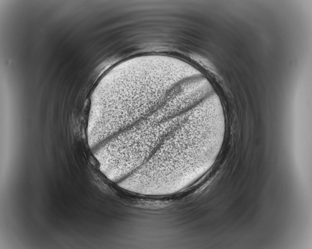 X0000086271273200704262009
