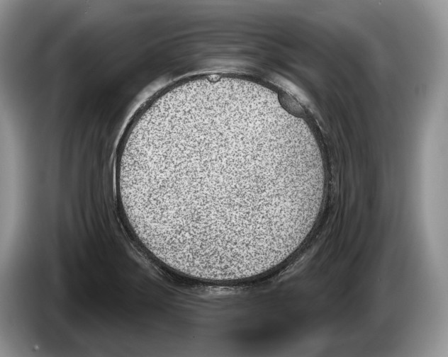X0000086271275200704262009