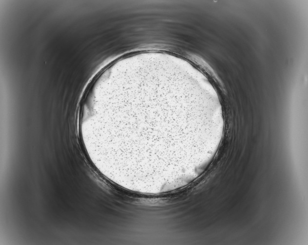 X0000086271276200704262009
