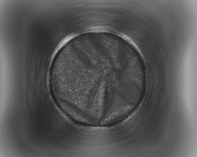 X0000086271277200704262009