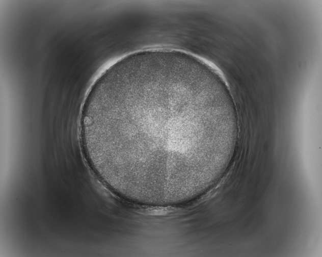 X0000086271279200704262009