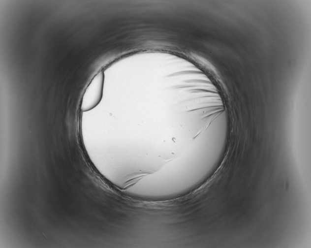 X0000086271280200704262009