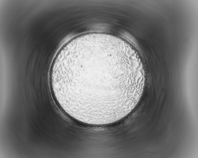 X0000086271283200704262009