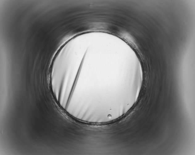 X0000086271284200704262009