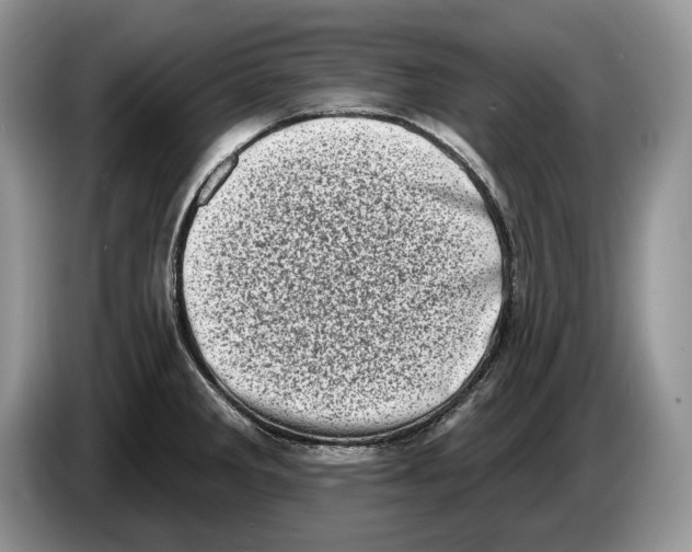 X0000086271285200704262009