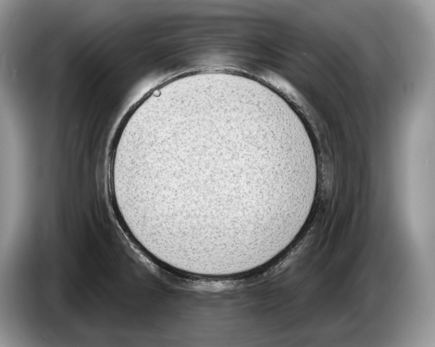 X0000086271286200704262009