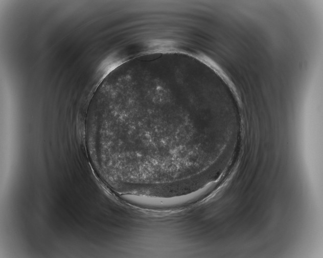 X0000086271289200704262009