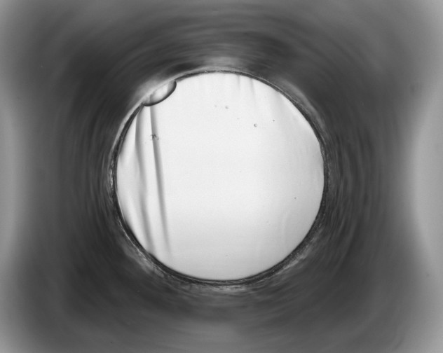 X0000086271292200704262009