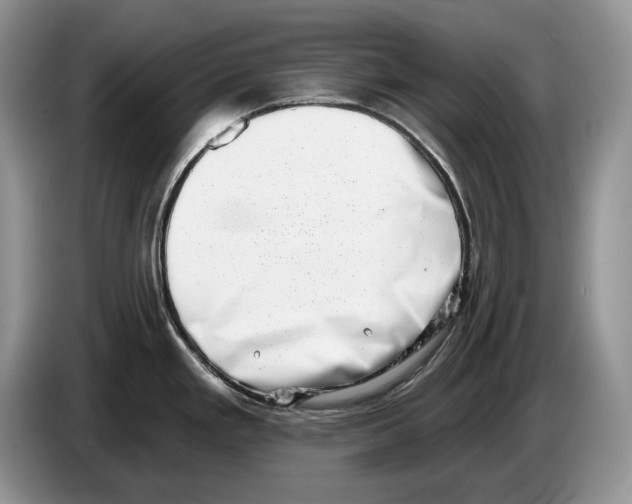 X0000086271293200704262009