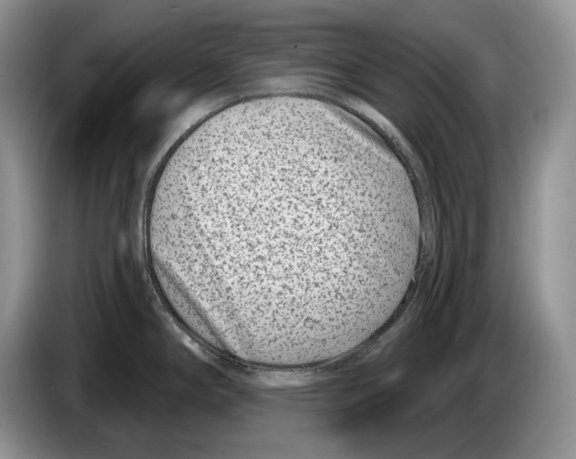 X0000086271294200704262009