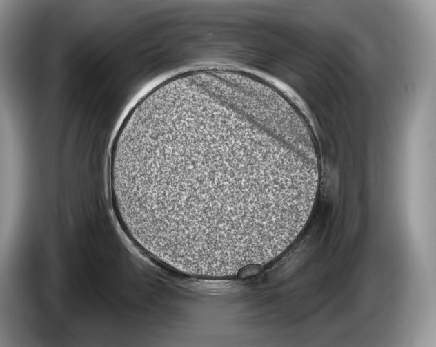X0000086271295200704262009