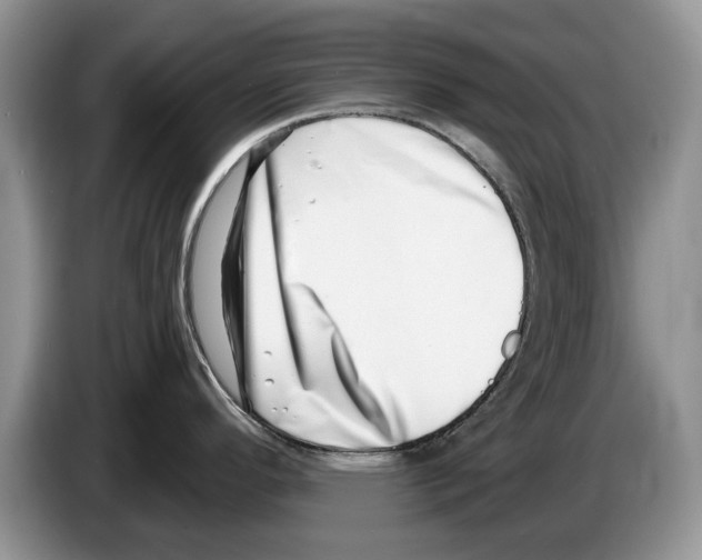 X0000086271296200704262008