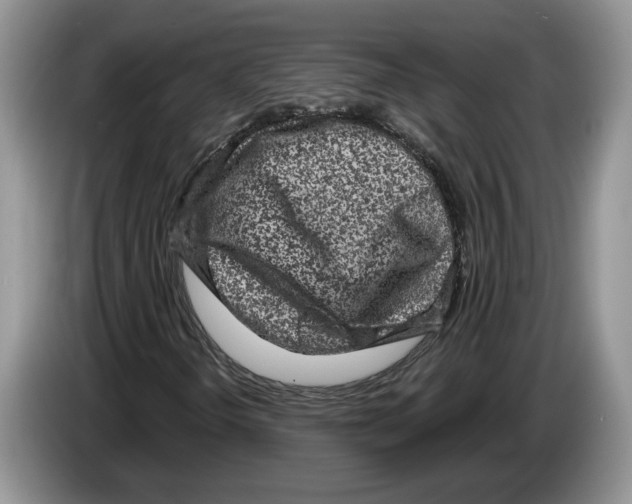 X0000086271298200704262008