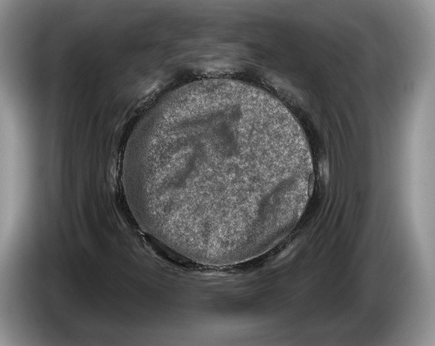 X0000086271300200704262008