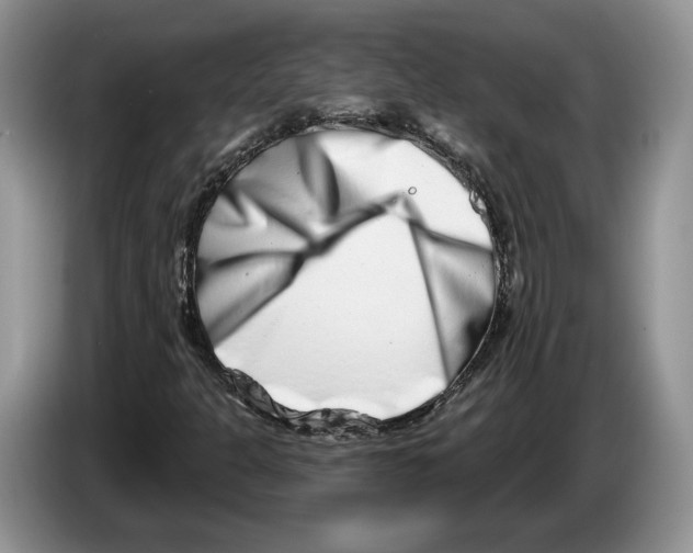 X0000086271301200704262008