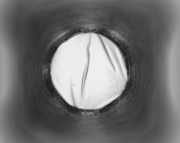 X0000086271302200704262008