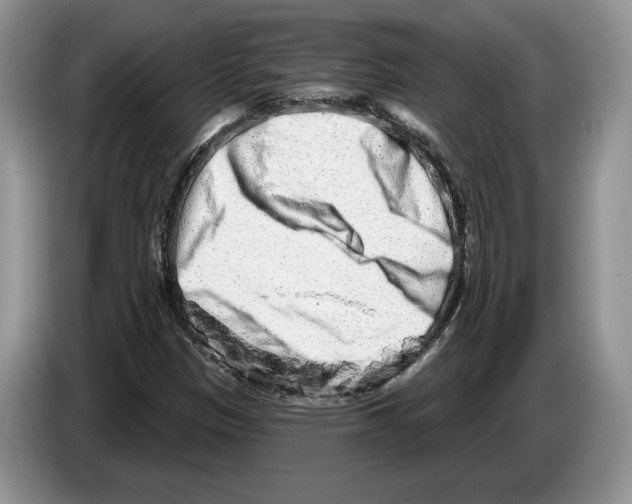 X0000086271305200704262008