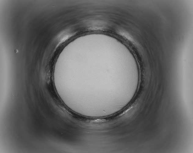 X0000086271306200704262008