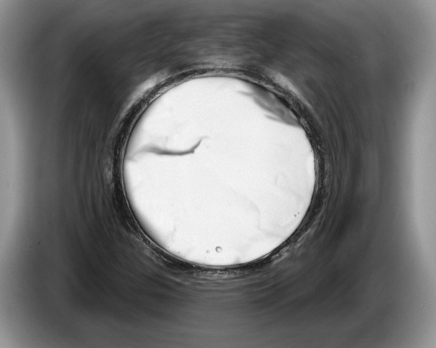 X0000086271307200704262008