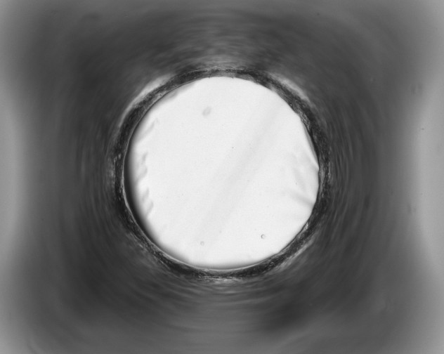 X0000086271309200704262008