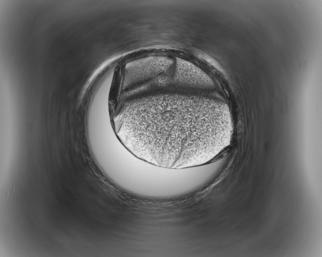 X0000086271310200704262008