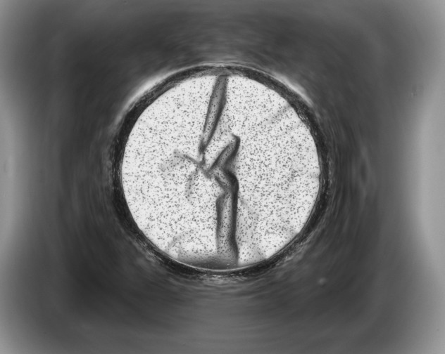 X0000086271311200704262008