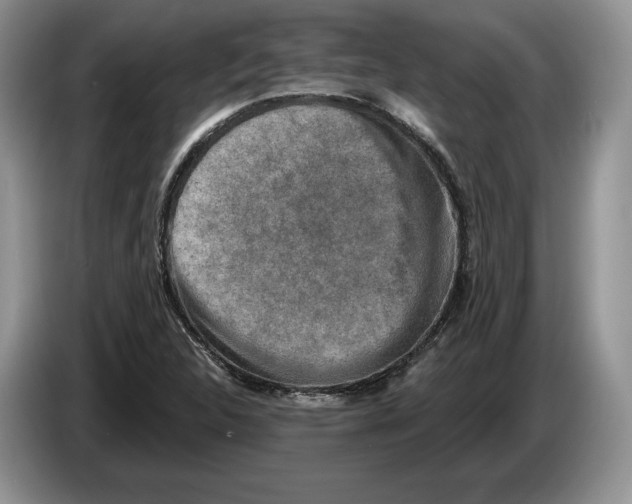 X0000086271312200704262008