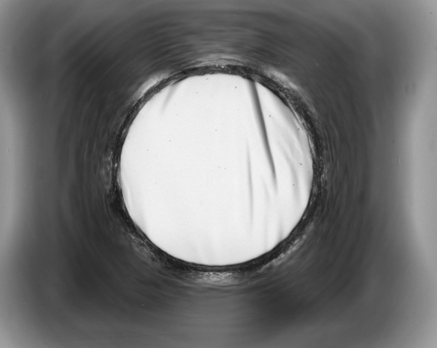 X0000086271313200704262008