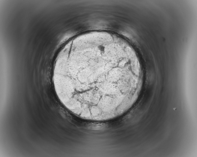 X0000086271314200704262008
