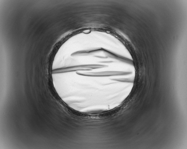 X0000086271315200704262008