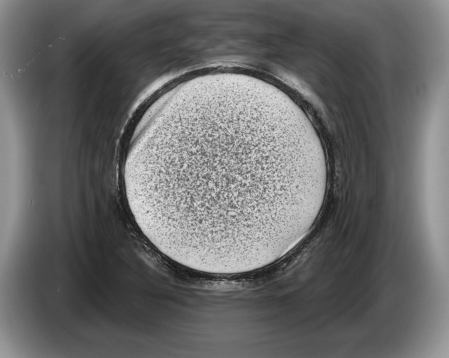 X0000086271316200704262008