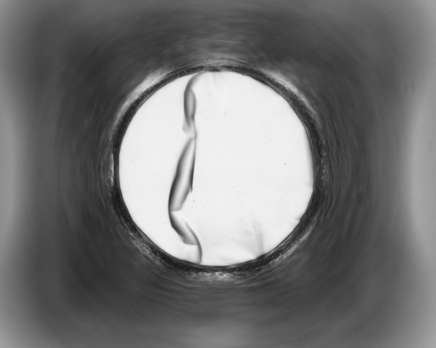 X0000086271317200704262008