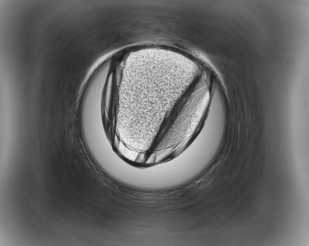X0000086271320200704262008