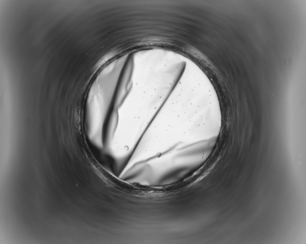 X0000086271321200704262008