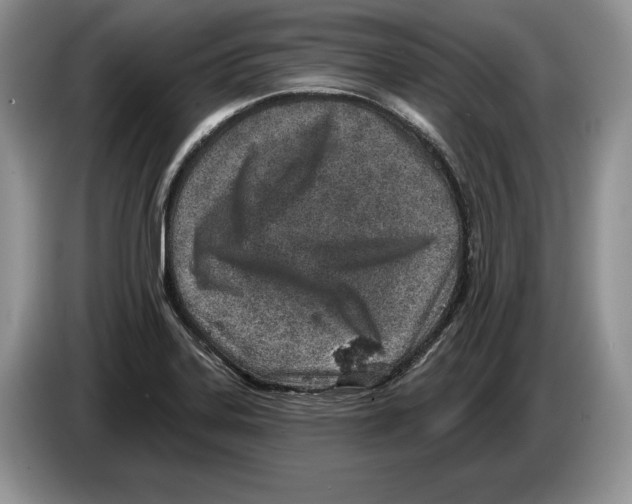X0000086271323200704262008