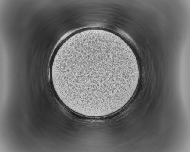 X0000086271324200704262008