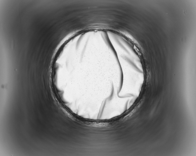 X0000086271325200704262008