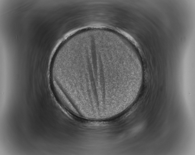 X0000086271327200704262008