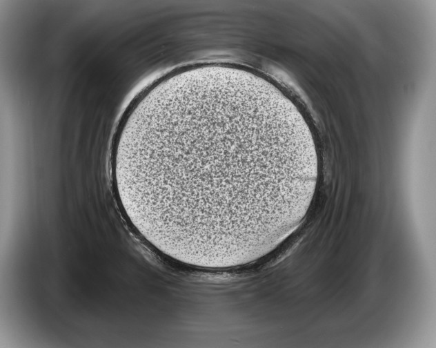 X0000086271328200704262008