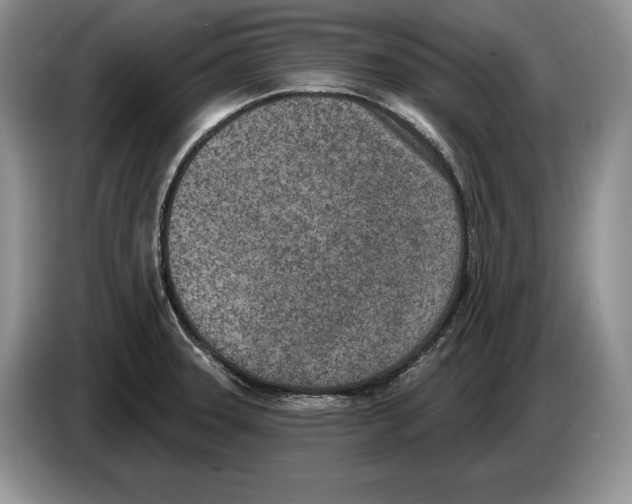 X0000086271331200704262008