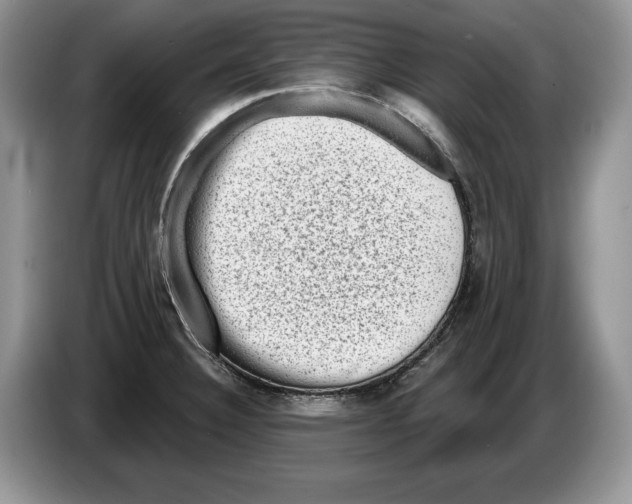 X0000086271332200704262008