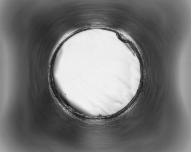 X0000086271333200704262008